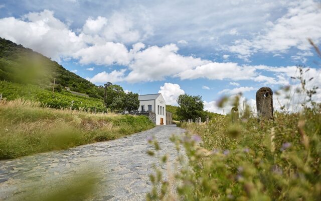 Villa Patzay Borhotel