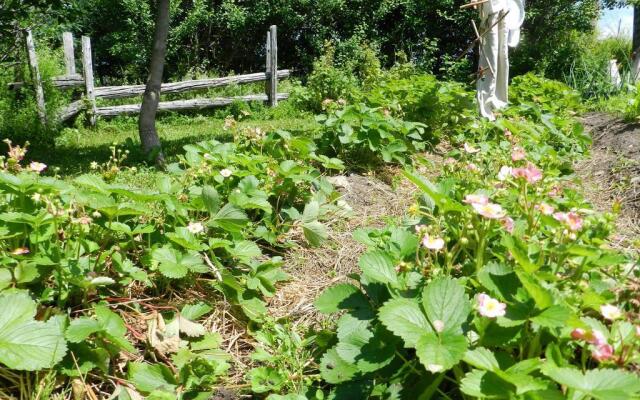 La Maison de L'Irlandais