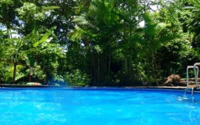 Sanctuary Retreat – Pool – Mission Beach