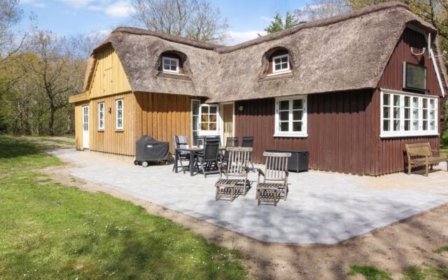 "Penka" - 15km from the sea in Western Jutland