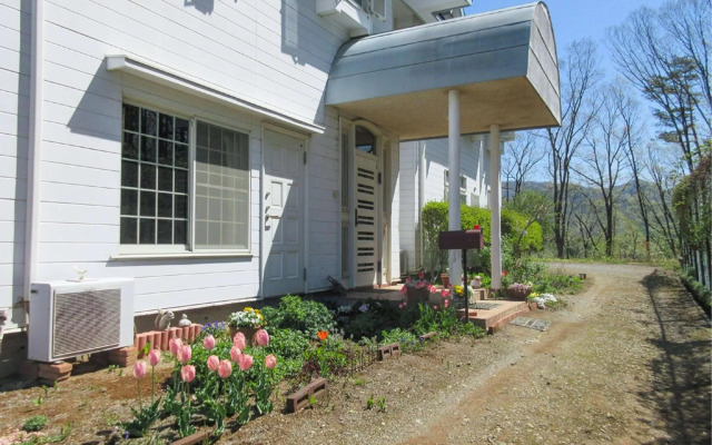 Pension White Clover