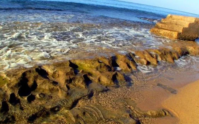 West Coast Inn's Rincon