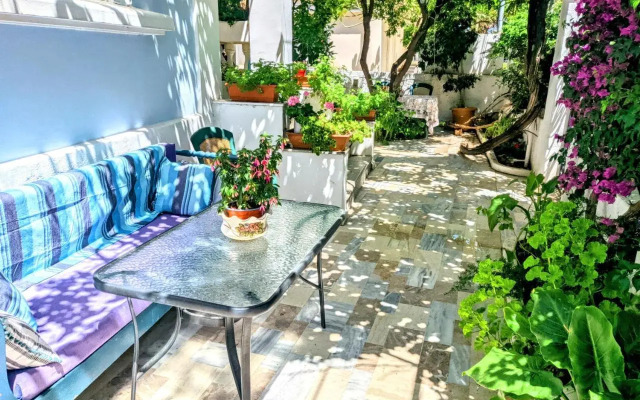 House with garden in city of Rhodes