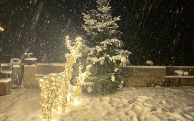 Apartaments Alta Muntanya