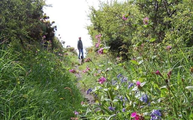 Cornish Valley View B&B