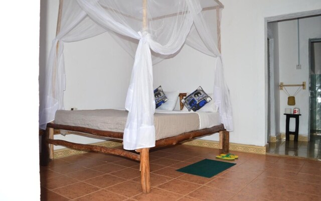 African wagtail hostel