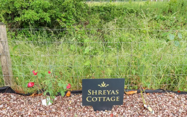 Sunnyside Shreyas