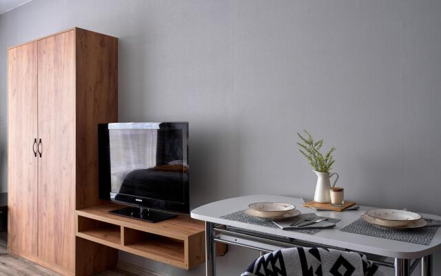 Стрижи на улице Лызина 9