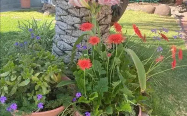 Bird's nest Guesthouse