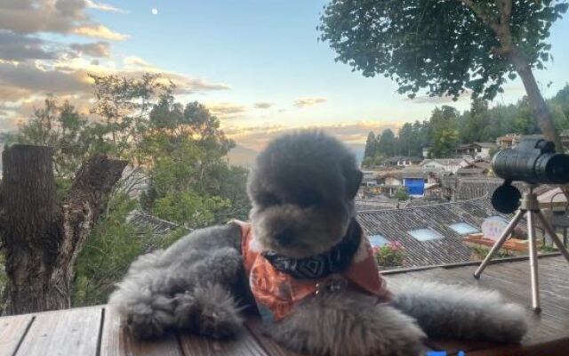 Ruochen Xuyu (Morning's Preface) Lion Hill Naxi Courtyard