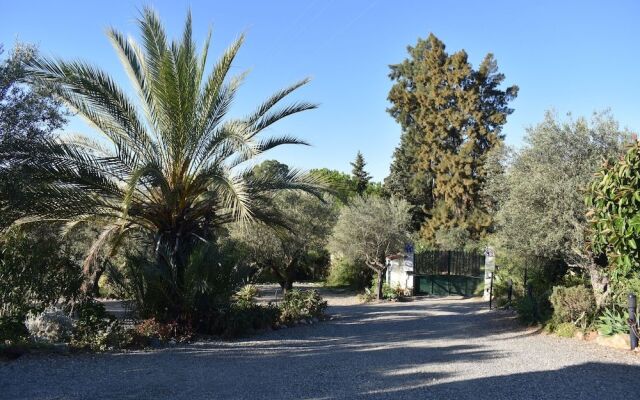 B&B Casa Palmera - Adults Only