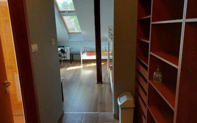 Vadgesztenye Youth Hostel