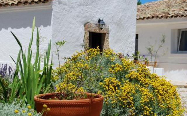 Farmhouse Of The Palms