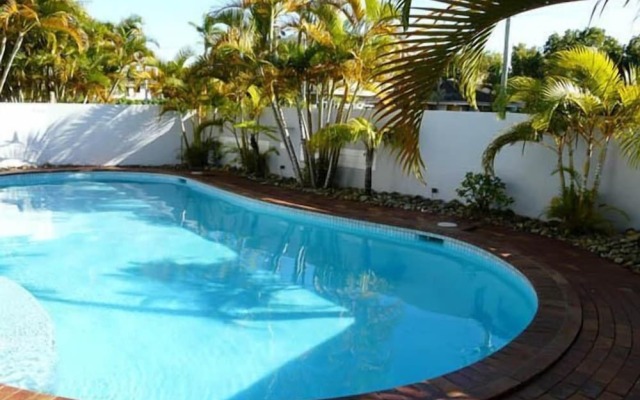 Champelli Palms