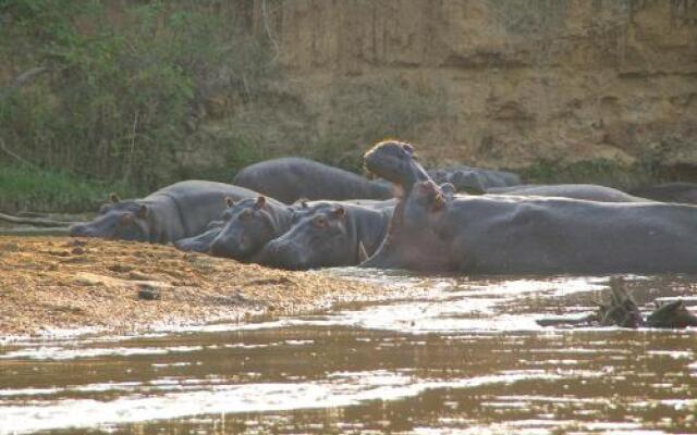 Marafiki Safari Lodge