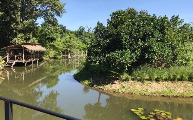 Dreamhome Chiangdao