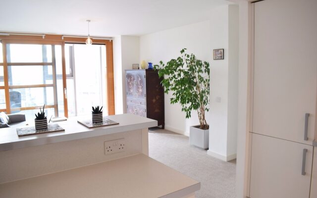 1 Bedroom Apartment in Battersea With Roof Terrace