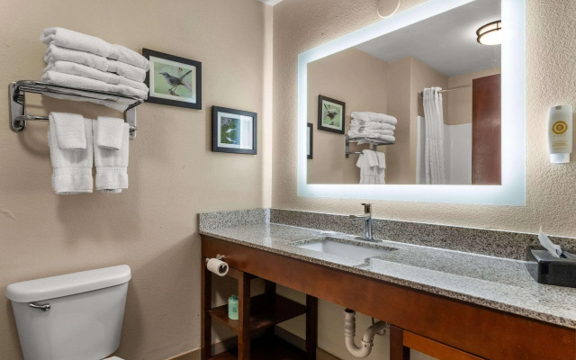 Comfort Inn & Suites Chipley