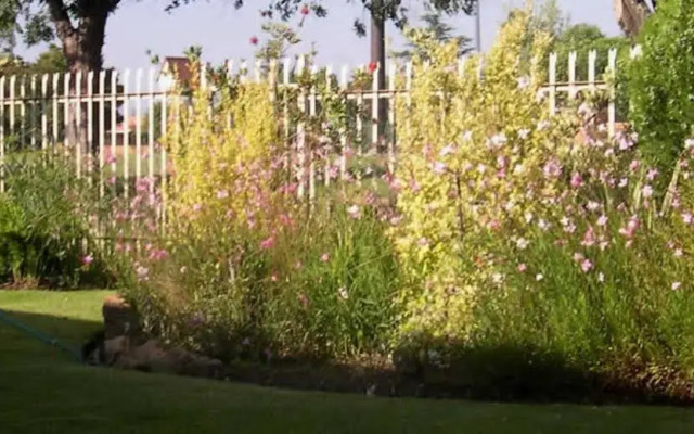 Birch Bush Bed and Breakfast