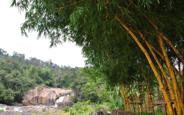 Aruvi Resorts