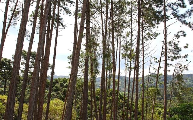 Pousada Campos Verde