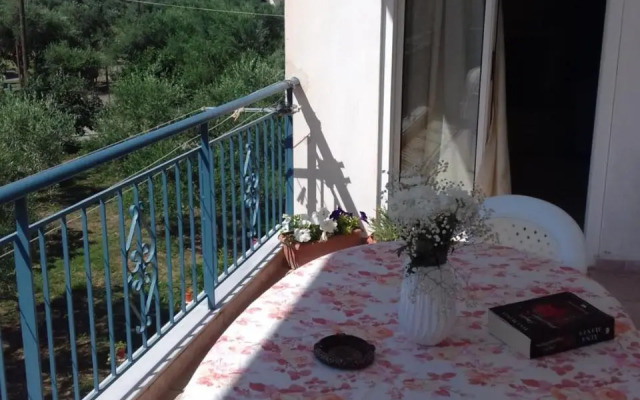 Mina Apartments