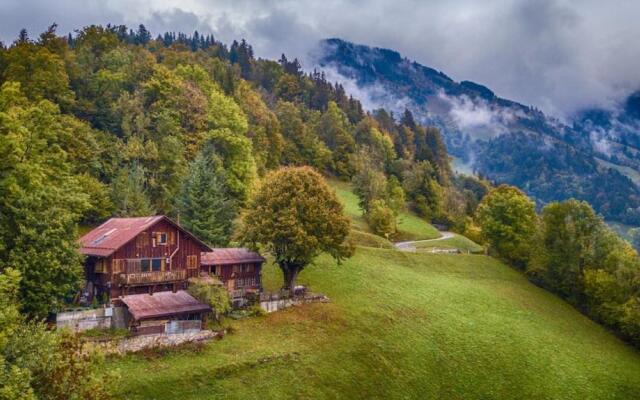 Heidi Chalet - Ideal for large groups