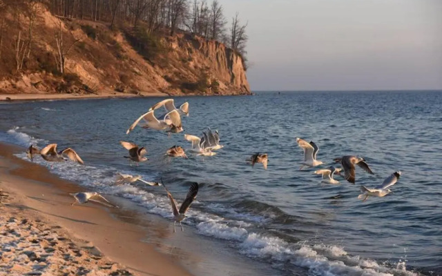 Chata rybacka w Orłowie / Apartament