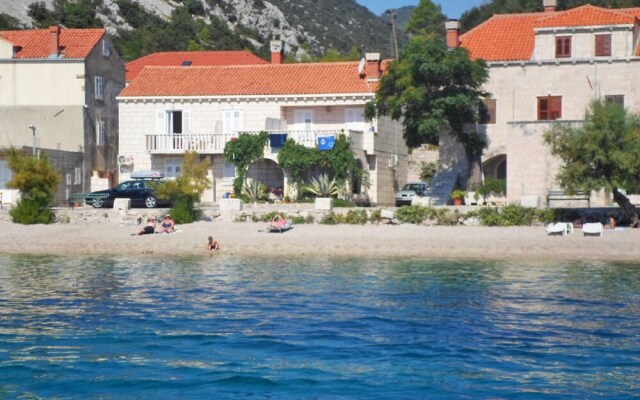Jelka Trstenik in Trstenik