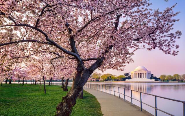 Kimpton Hotel Monaco Washington DC by IHG