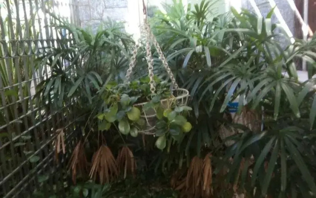 Pousada Papicu