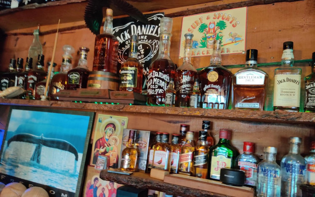 Palm garden paradise