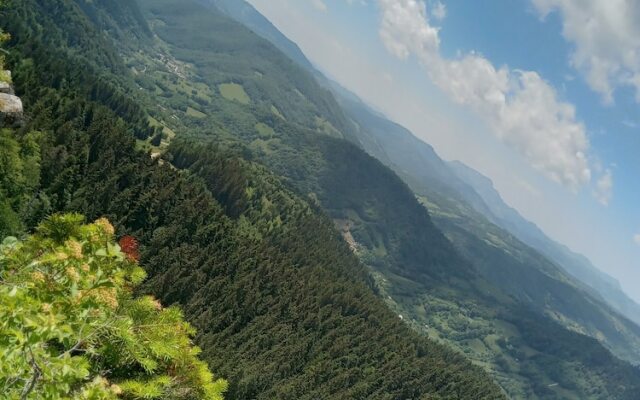 Room in Guest Room - Rural Holiday Transylvania