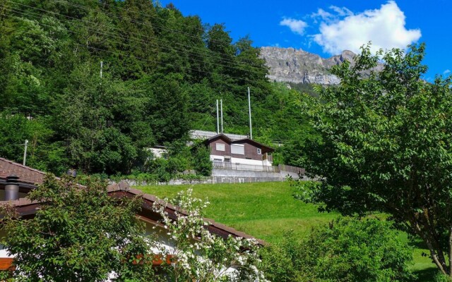 Chalet Guldeli Kandergrund