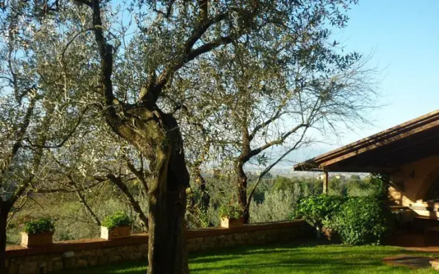 il mandorlo