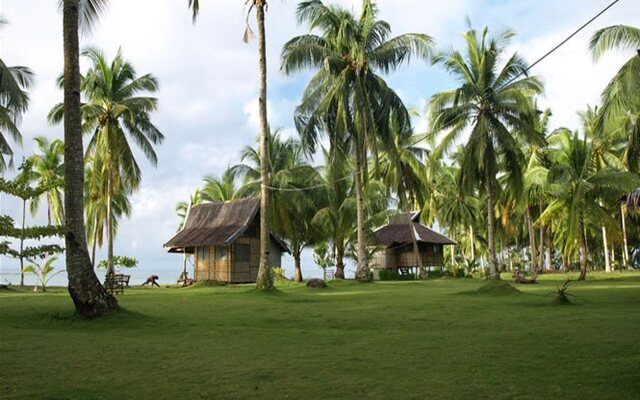 Tarzans Beach Resort