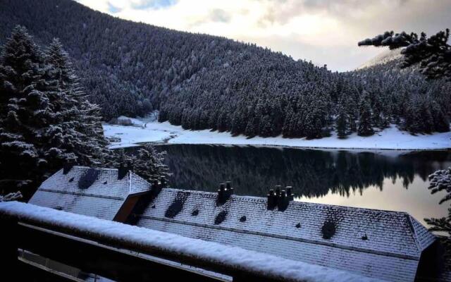 Adorable Chalet Sur le lac de Payolle