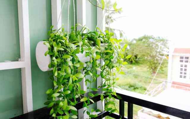 Together House - Hostel