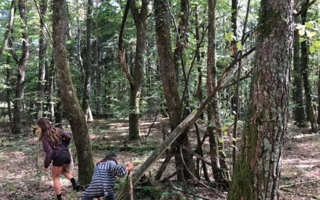 Holiday Home 2 Under the Trees