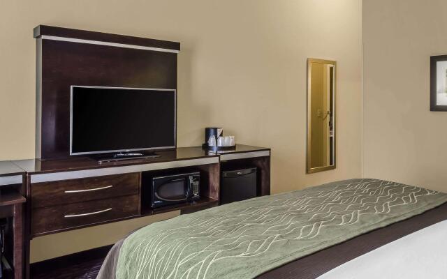 Comfort Inn & Suites Dothan East