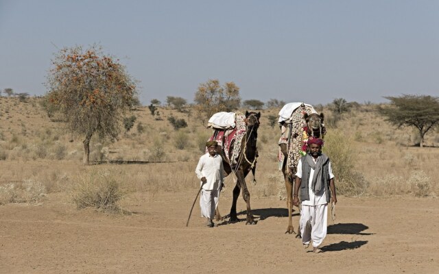 Manvār Shergarh, The Desert Resort
