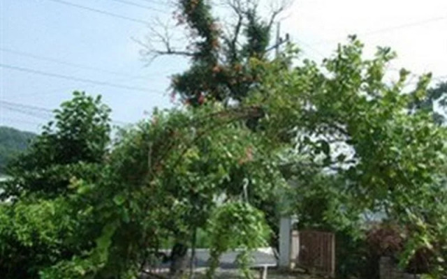 Healing Farmstay Pension