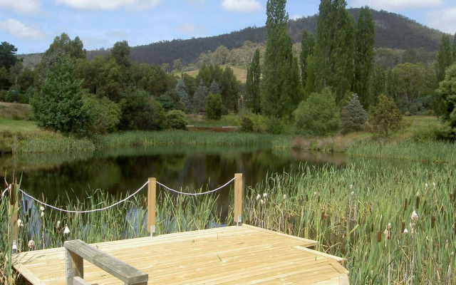 Hamlet Downs Country Accommodation