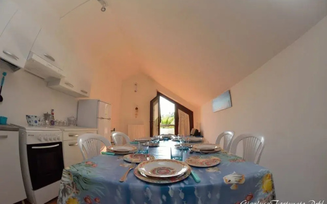 Paradiso A 4 Zampe - Villa Paradiso