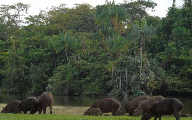 Reserva de Piedemonte