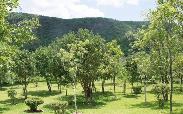 Kafue Dreams