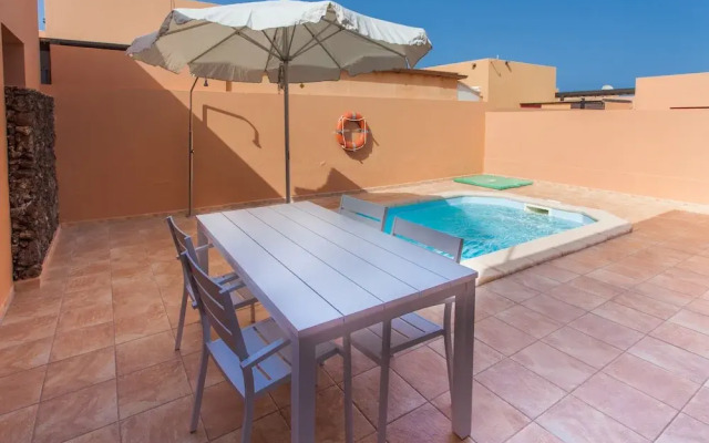 Anahi Home Dracaena 4