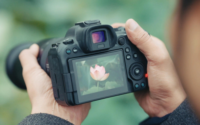 Radisson Collection Hotel & Spa, Riverfront Srinagar