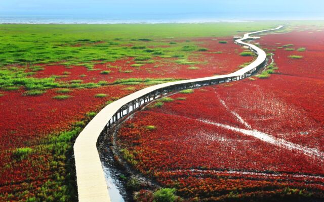 Holiday Inn Panjin Aqua City by IHG