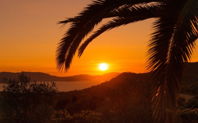 Domaine Paradisu - Villa la Palmeraie